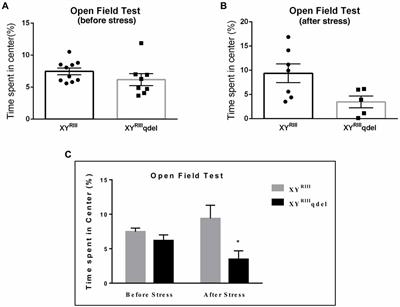 Mice With Partial Deletion of Y-Heterochromatin Exhibits Stress Vulnerability